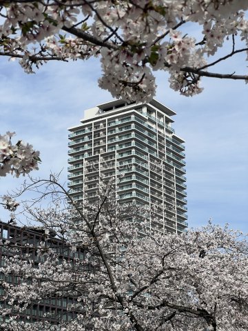VIEQU TOWER OSAKA Photo