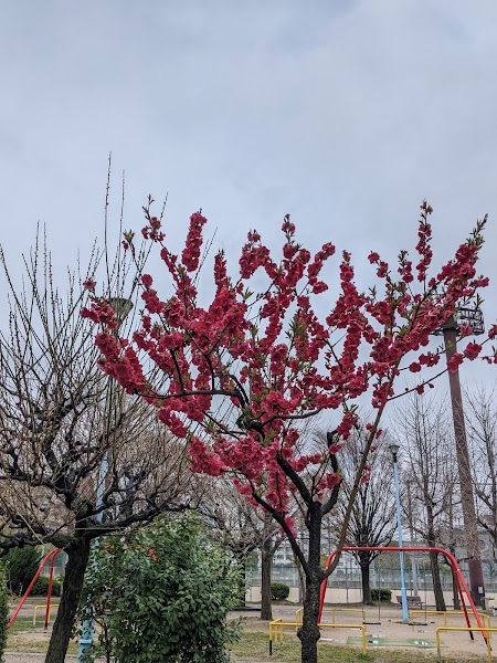 真田山公園