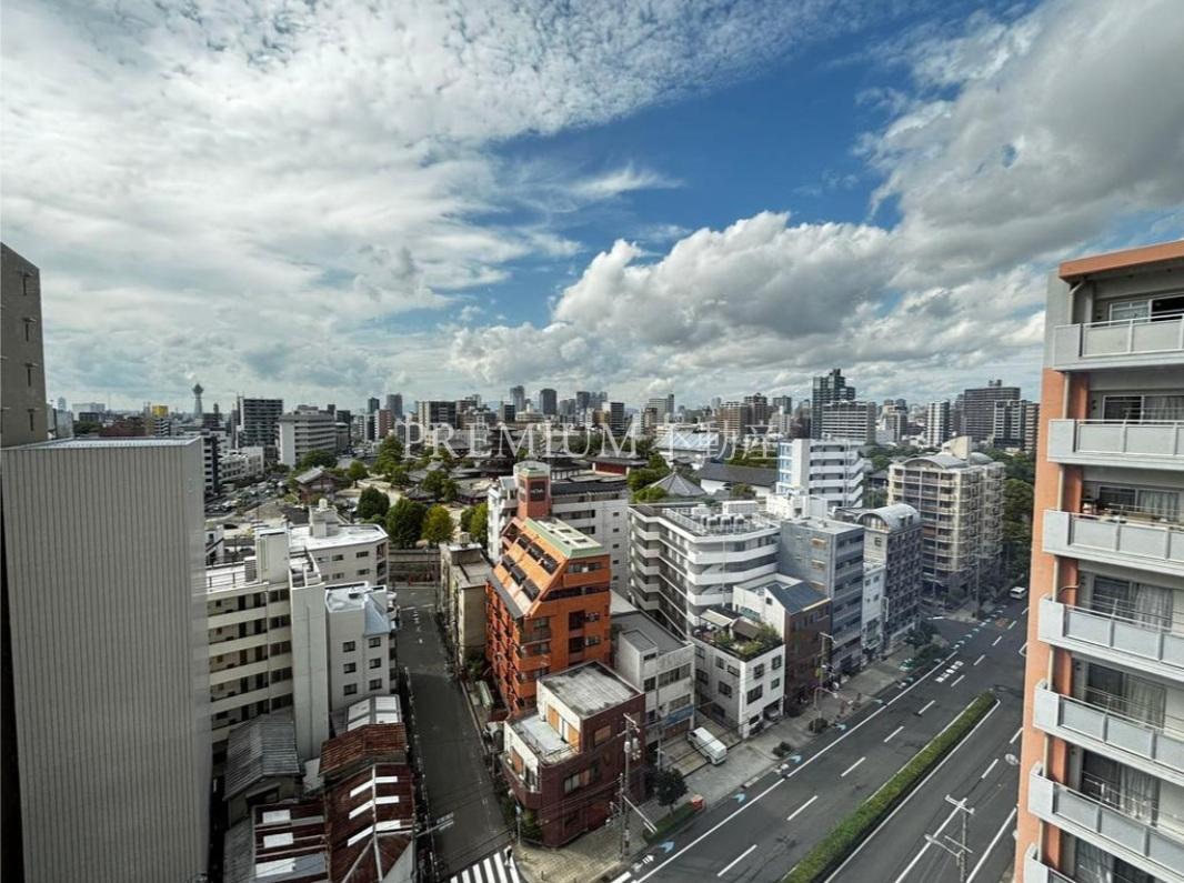 リバーガーデン四天王寺 12階 3LDKの紹介画像9