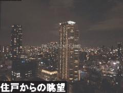 シティタワー大阪本町 33階 1LDKの紹介画像2